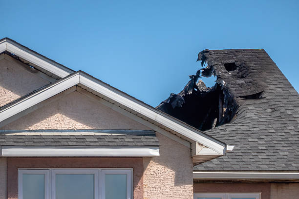Top rated local Fire Board Up specialists in New Prague, MN